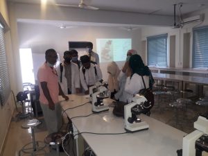 histology lab (3)